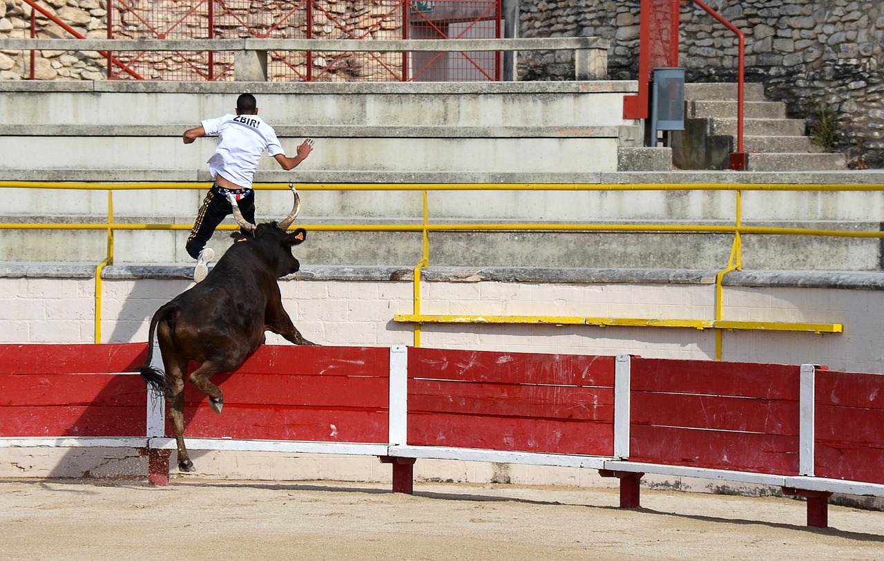 其他運動員