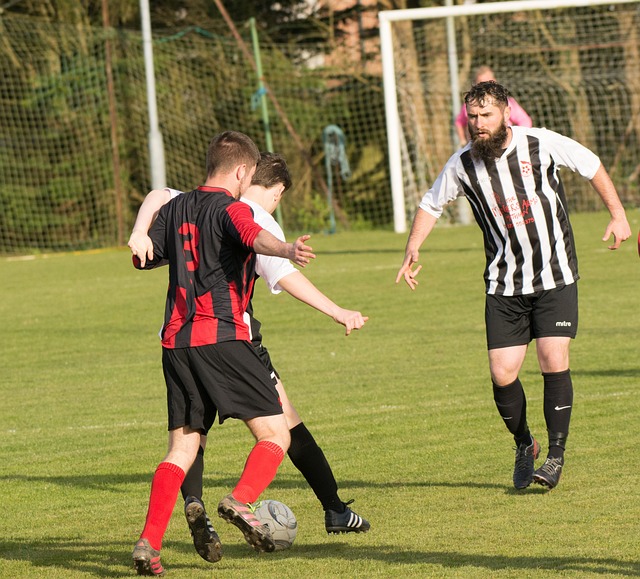 文化从过去 文化从过去