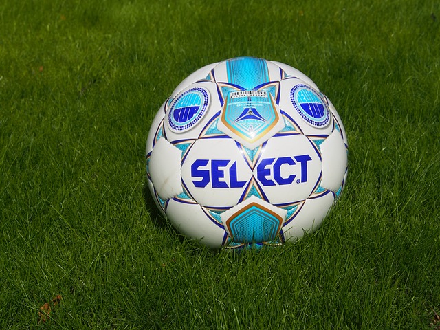 随着郑钦文0 - 2萨巴伦卡，中国金花六战全输，四强决出两席！.