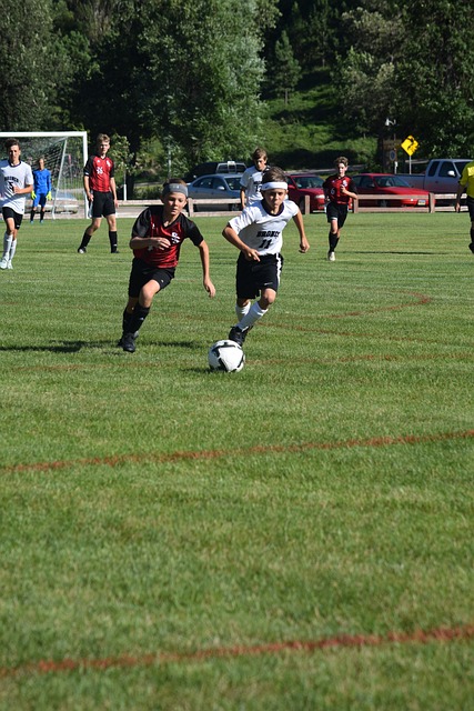 作为天津津 作为天津津