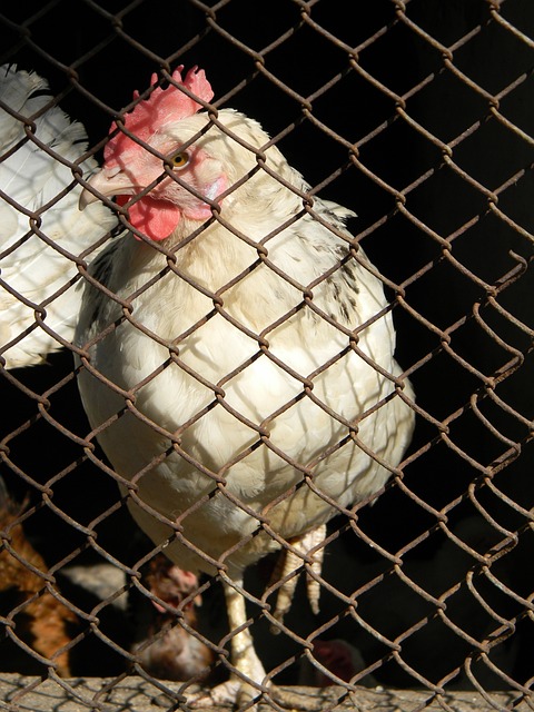 种方式赢得 种方式赢得